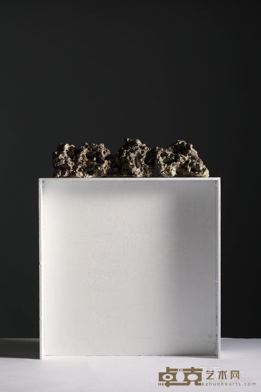 风的骨骼