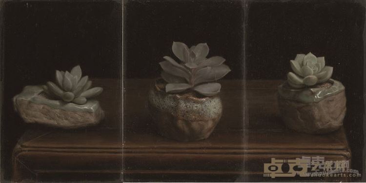 张之琦《多肉植物静物组画》24x50cm 2016