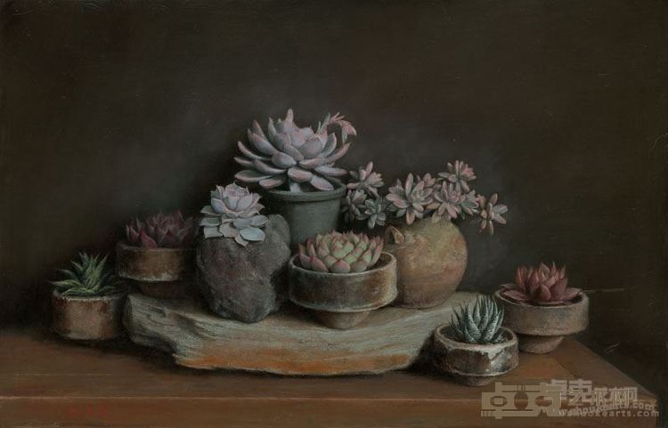 张之琦《多肉植物群像》60x90cm 2016