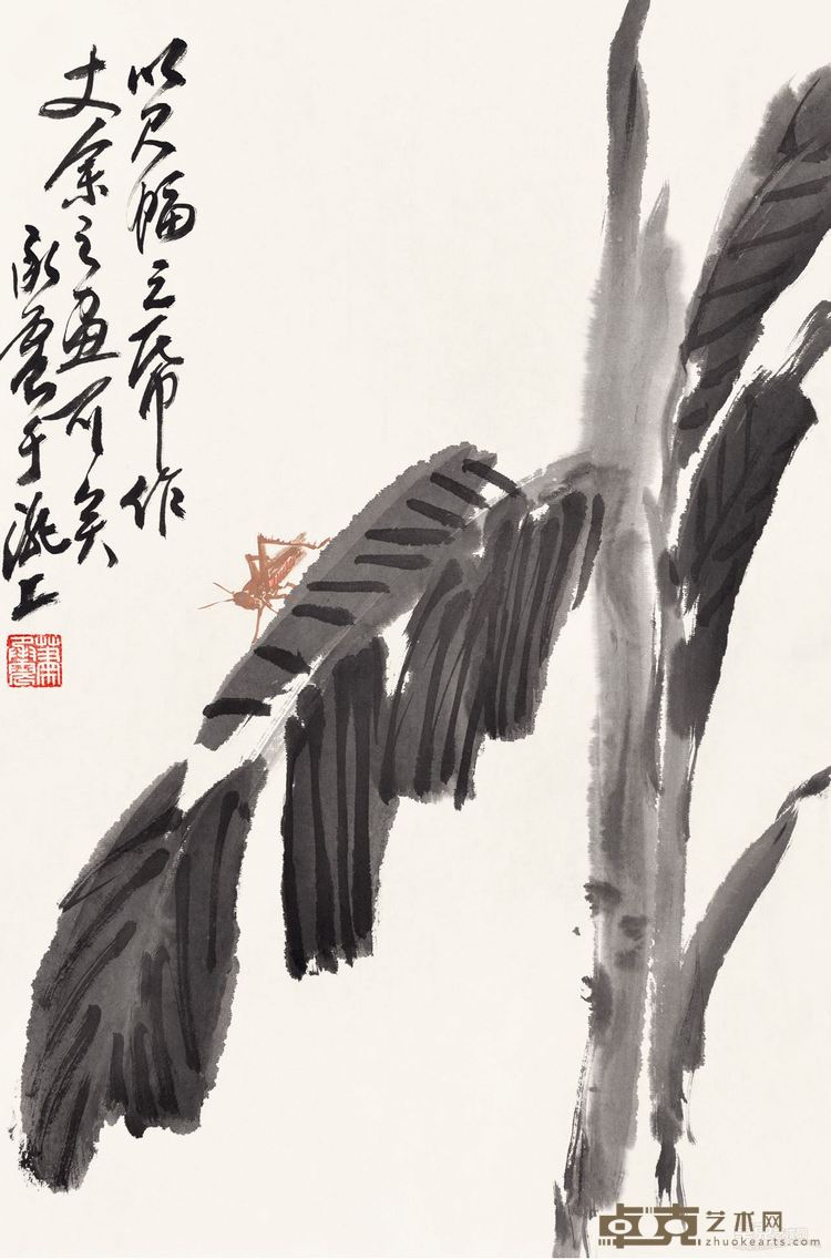 芭蕉 69×46cm
