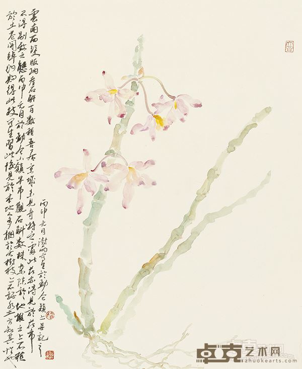 阴澍雨 石斛 59×48 厘米 纸本设色 2016 年