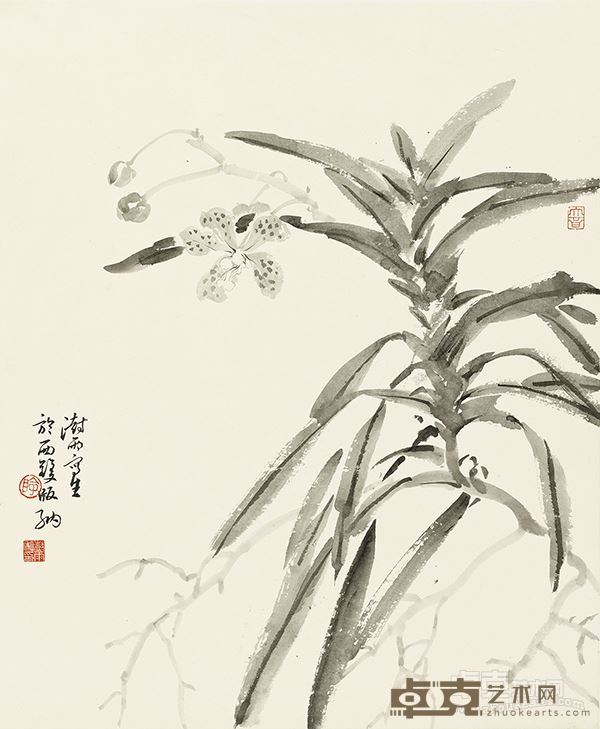 阴澍雨 热带兰  59×48 厘米 纸本水墨 2016 年