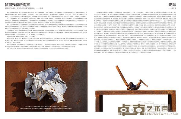 胡颍州  装置艺术作品