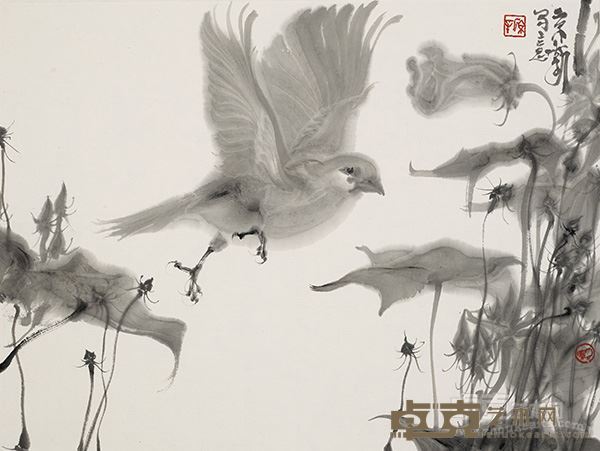羽琳琅  35x47cm纸本水墨  2016年