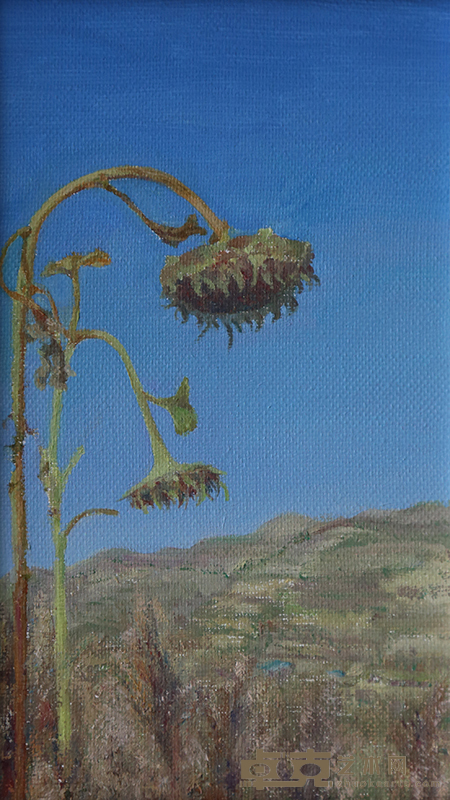 李芮·葵