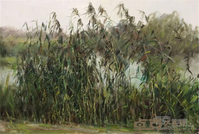 姜松平 《 长荡湖湿地》 60 cm×90cm 布面油画 2016