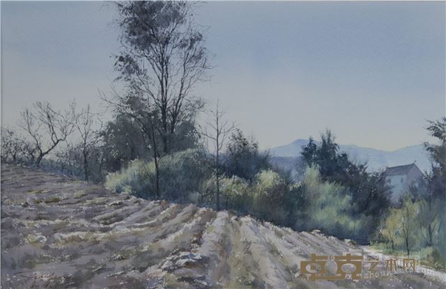 沙金华《后山的新茶园》38cmx57cm  纸本水彩  2016
