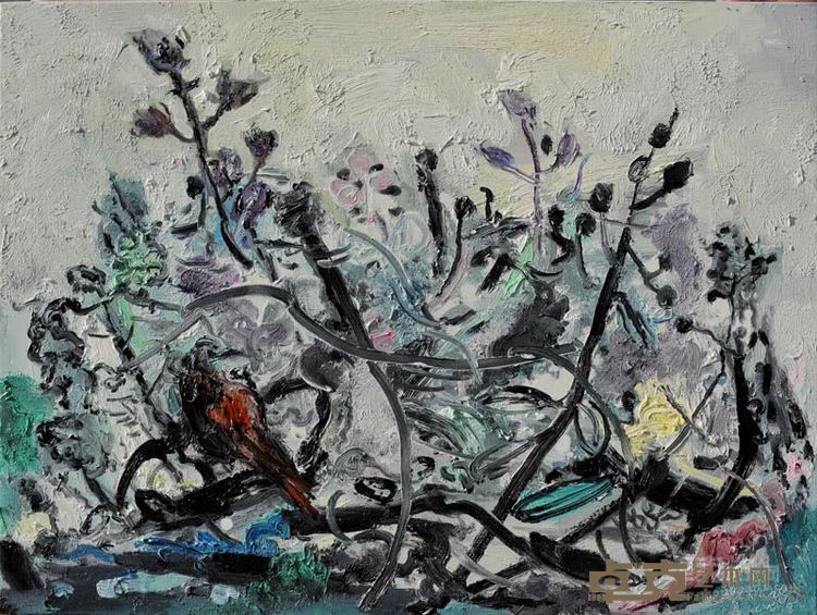续翔 花开新疆5    80x60cm