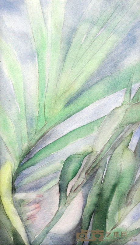 柴莎莎  48×28cm 纸本水彩