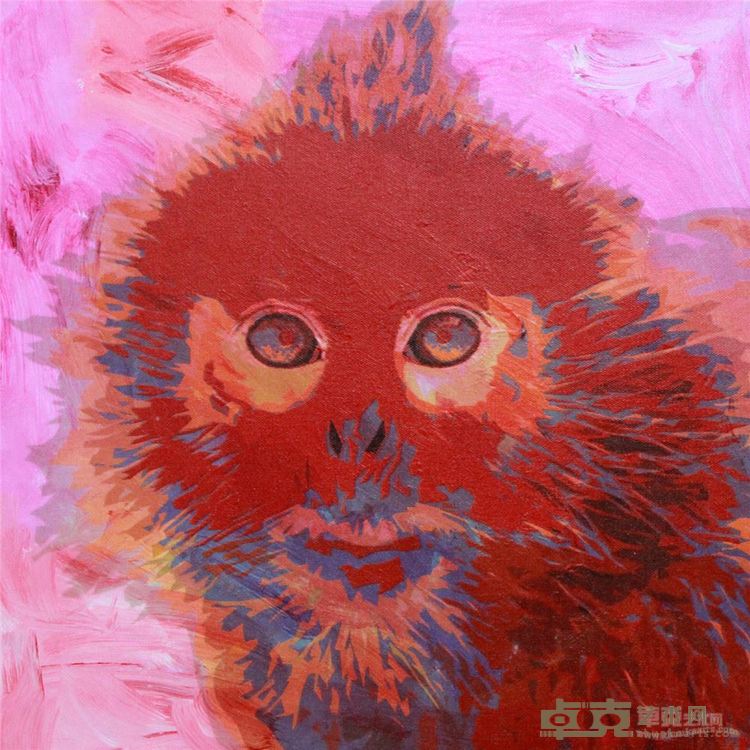 动物肖像系列之 红面猴   布面丙烯   50×50cm