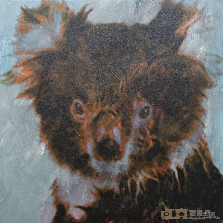 动物肖像系列之 考拉  布面丙烯   50×50cm