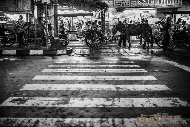 马不走马路 Horse beyond the road梁俊丰摄影30X20cm2016