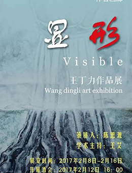 “显形Visible”王丁力个展