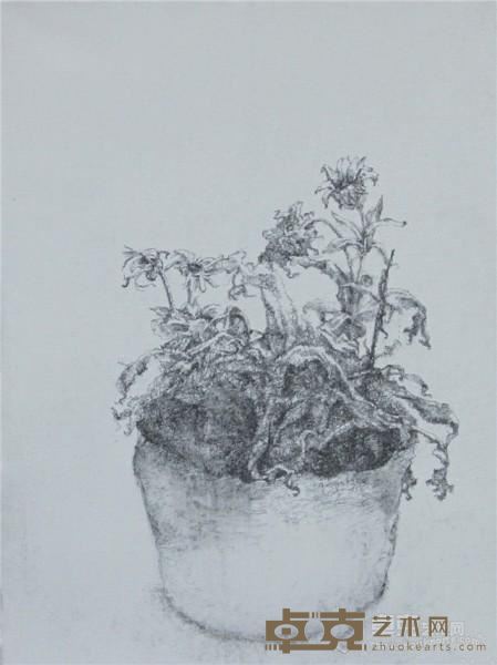 《素景No.2》  罗敏 40x30cm 2012年 布面素描