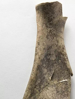 “鸿古余音”早期中国文明展