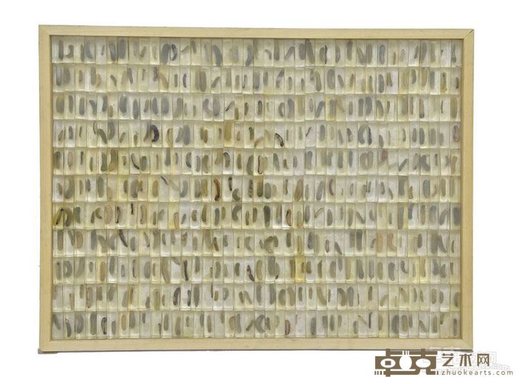 腌制的黄瓜标本500个，透明树脂，黄瓜，110x80cm，2015
