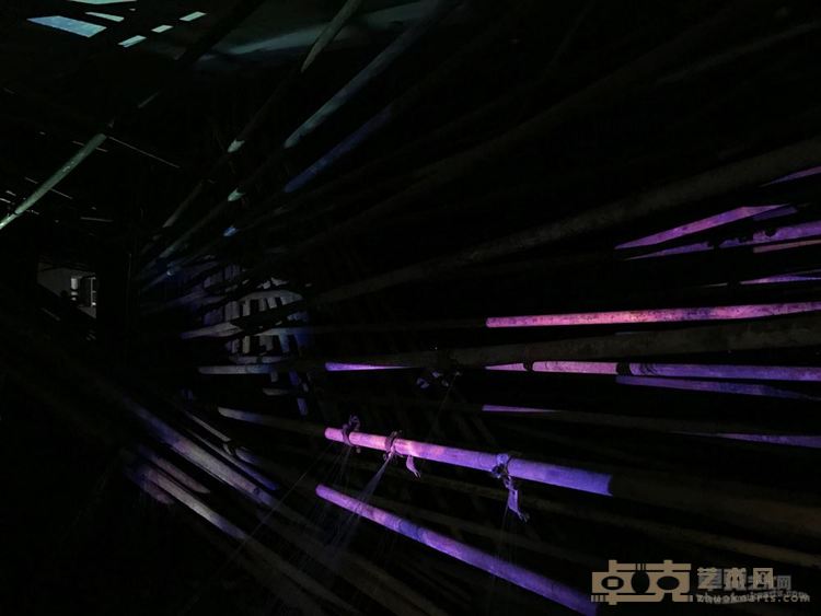 王红
