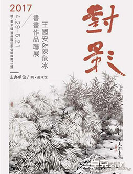 “对影”王国安和陈危冰的双人展