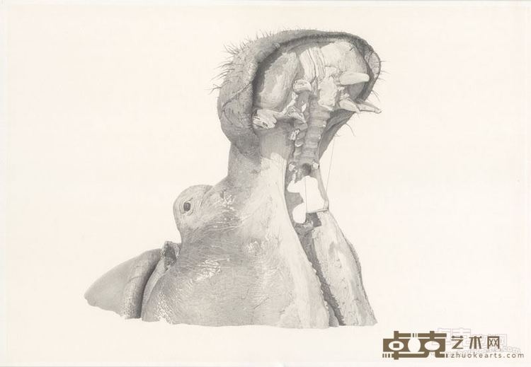 嗨，轻点 76x52cm 纸本铅笔