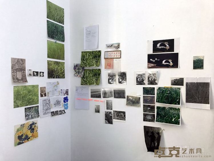 朱荧荧作品